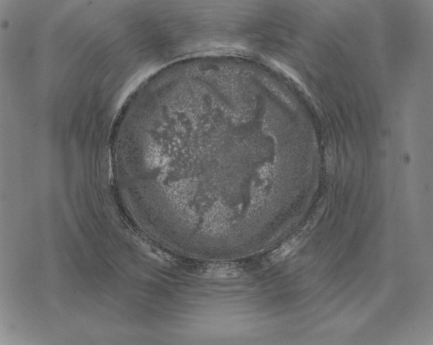 X0000074041267200609111730