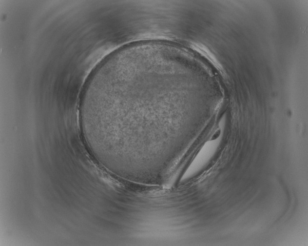 X0000074041268200609111730