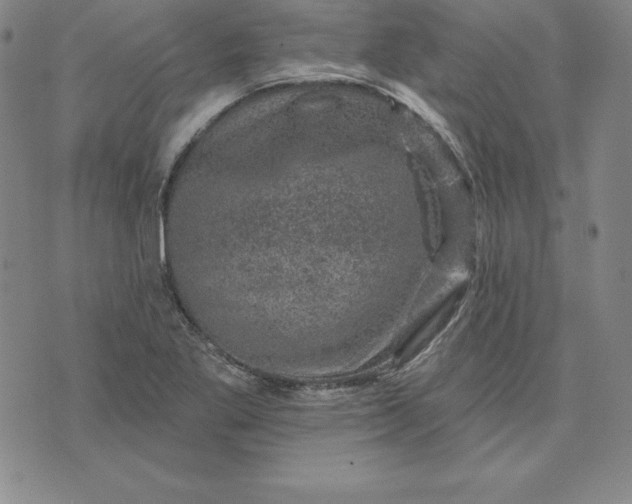 X0000074041269200609111730