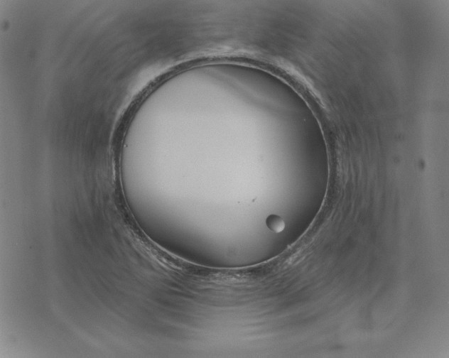 X0000074041270200609111730