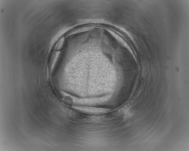 X0000074041271200609111730