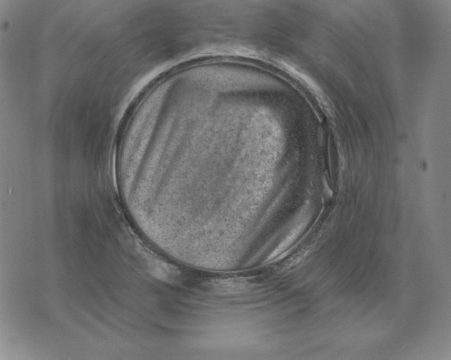 X0000074041272200609111730