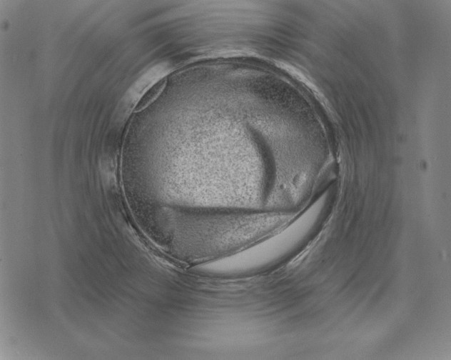 X0000074041273200609111730