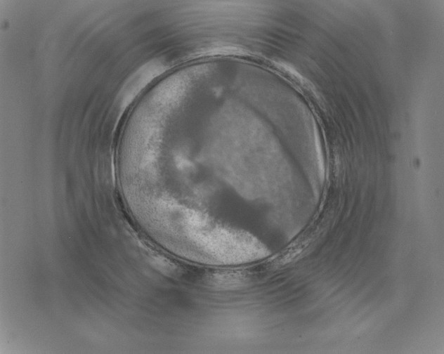 X0000074041274200609111730