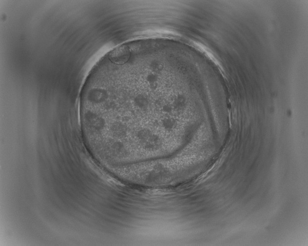 X0000074041275200609111730