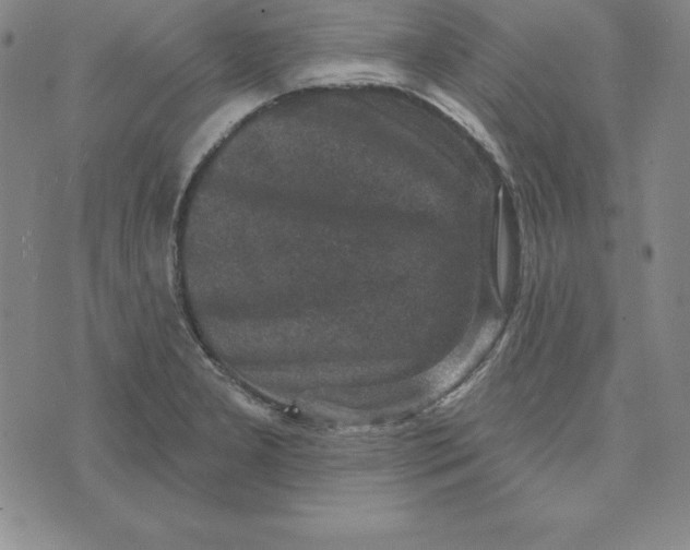 X0000074041277200609111730