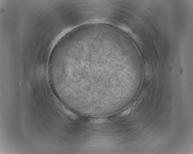 X0000074041278200609111730