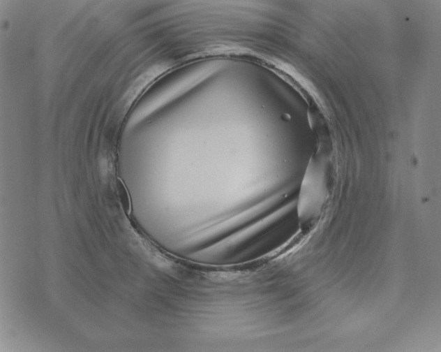 X0000074041281200609111730