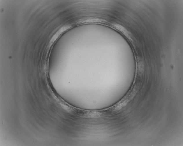 X0000074041282200609111730