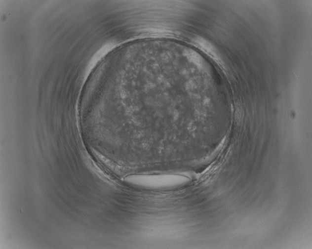 X0000074041283200609111730