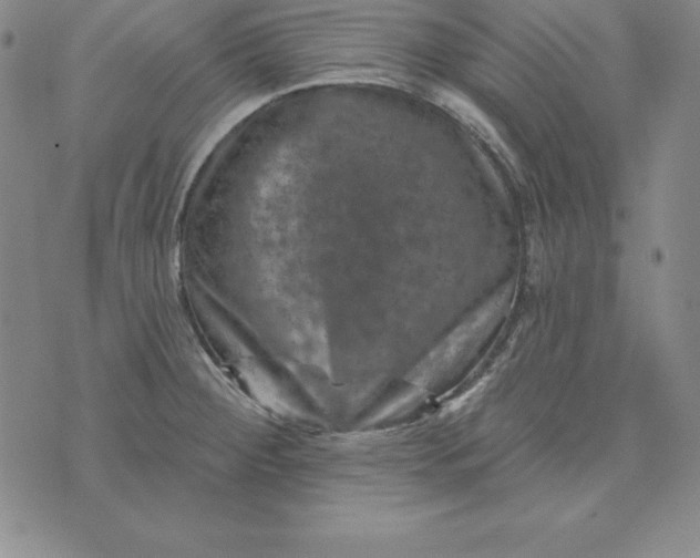 X0000074041284200609111730