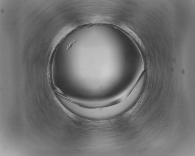 X0000074041285200609111730