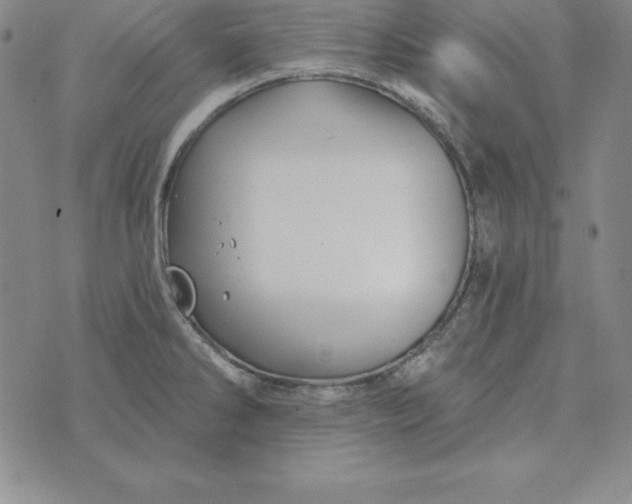 X0000074041286200609111730