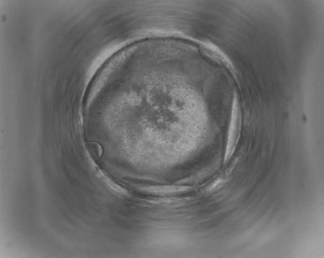 X0000074041287200609111730