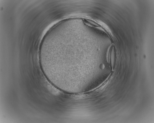 X0000074041288200609111730