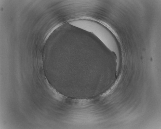 X0000074041289200609111730