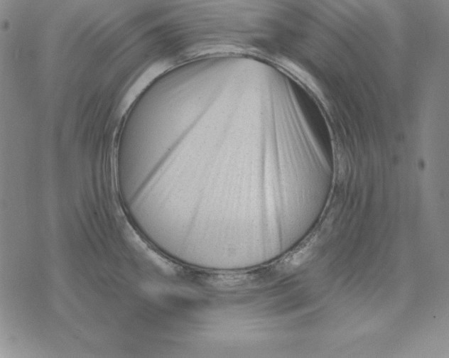 X0000074041290200609111730