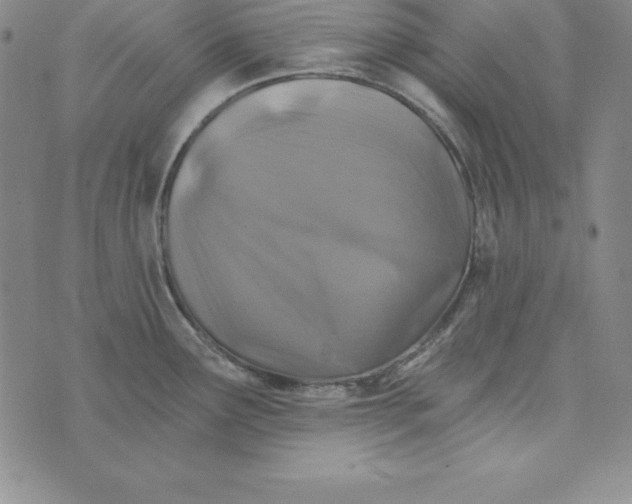 X0000074041291200609111730