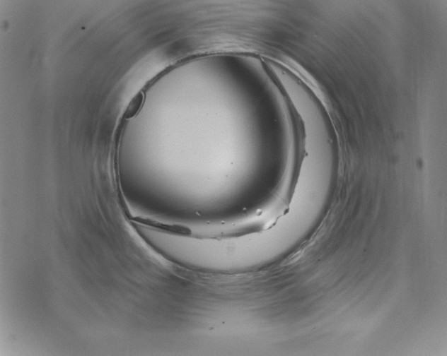 X0000074041293200609111730