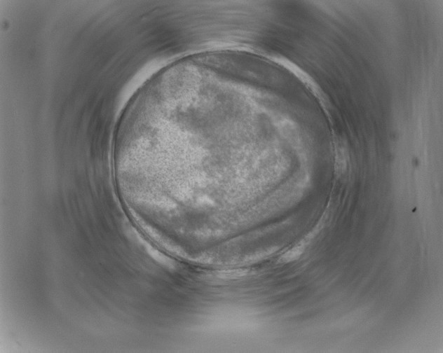 X0000074041294200609111730