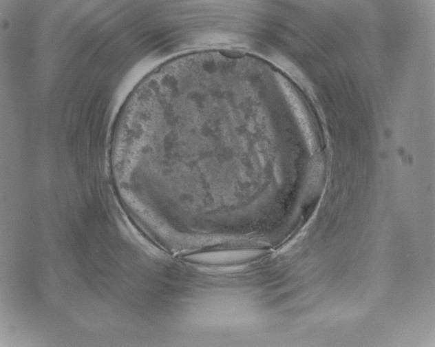 X0000074041296200609111729