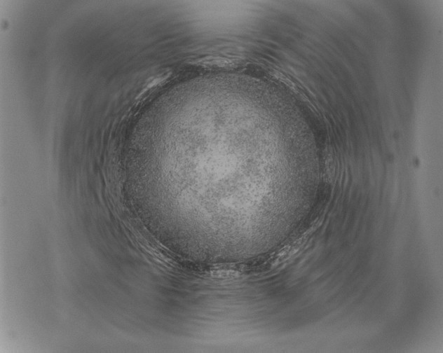 X0000074041297200609111729