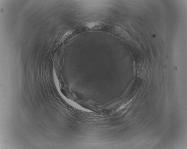 X0000074041298200609111729