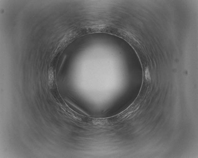 X0000074041299200609111729