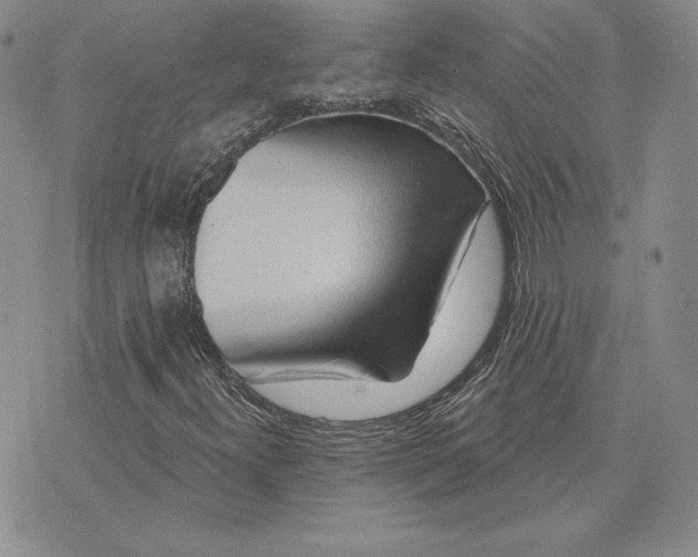 X0000074041300200609111729