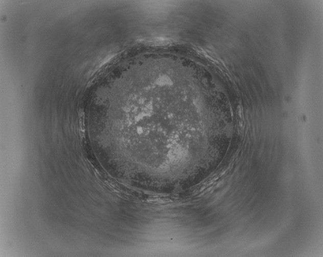 X0000074041301200609111729