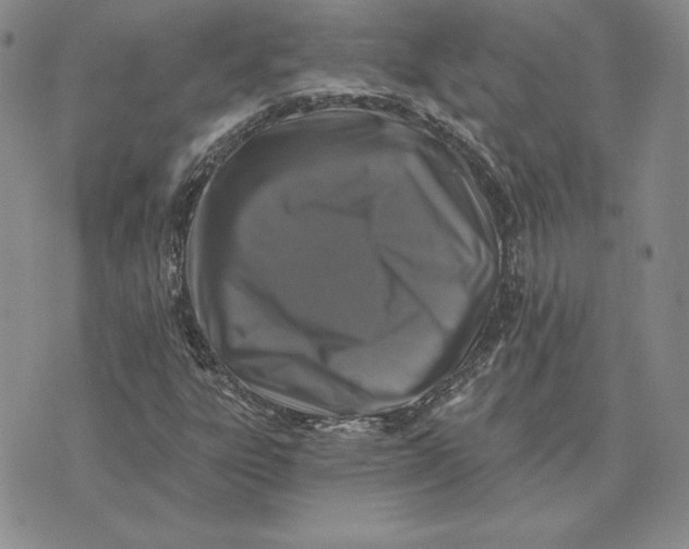 X0000074041303200609111729