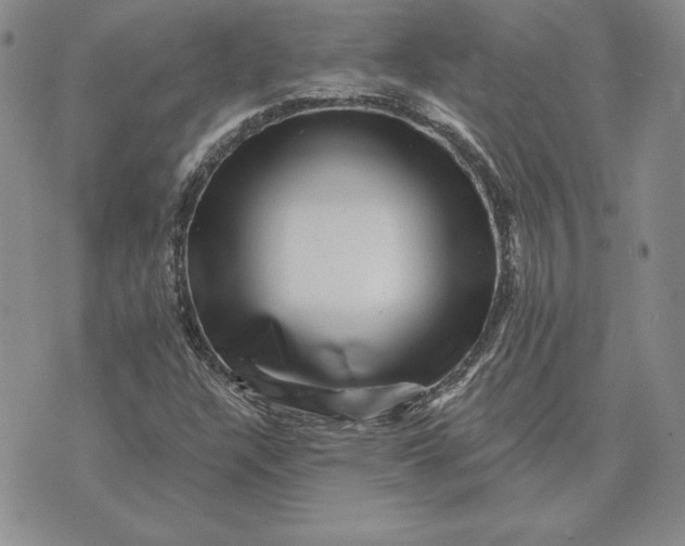 X0000074041304200609111729