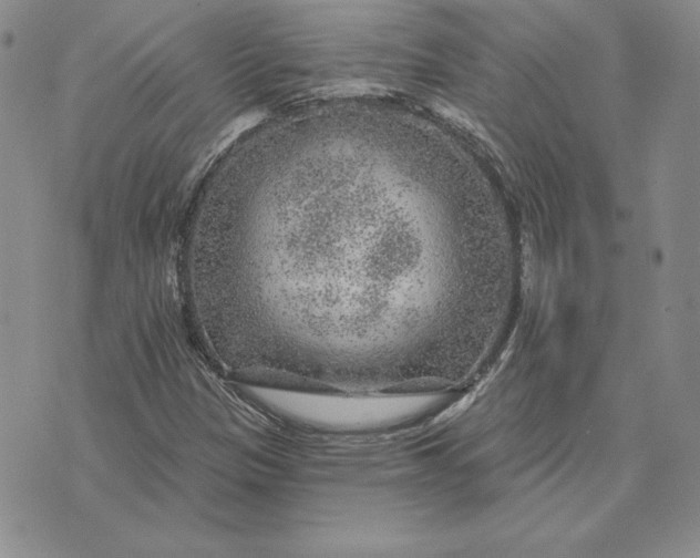 X0000074041305200609111729