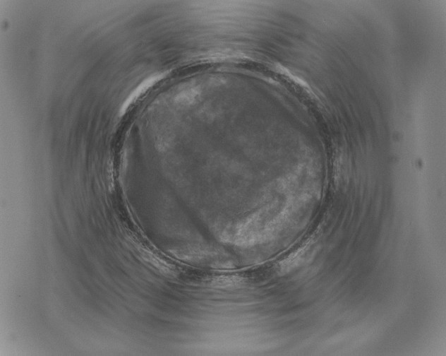 X0000074041306200609111729