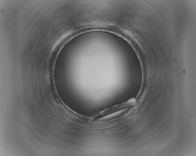 X0000074041307200609111729