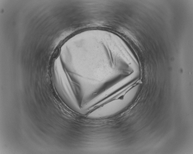 X0000074041308200609111729