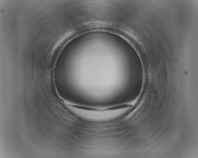 X0000074041309200609111729