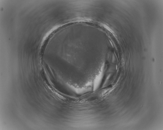 X0000074041310200609111729