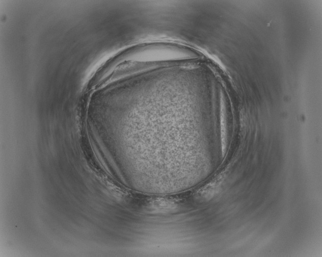 X0000074041311200609111729