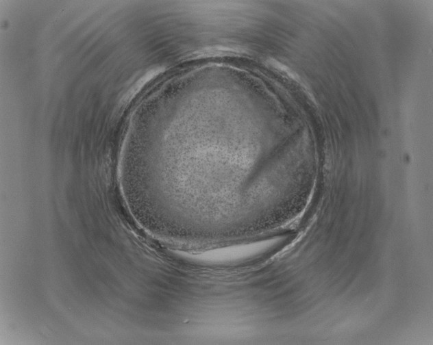 X0000074041313200609111729