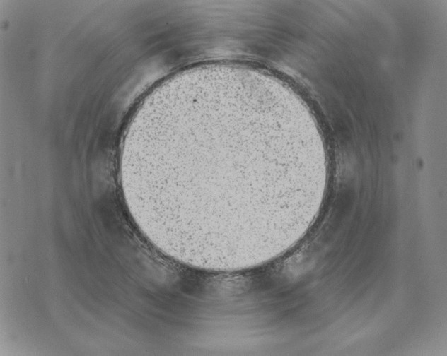 X0000074041314200609111729