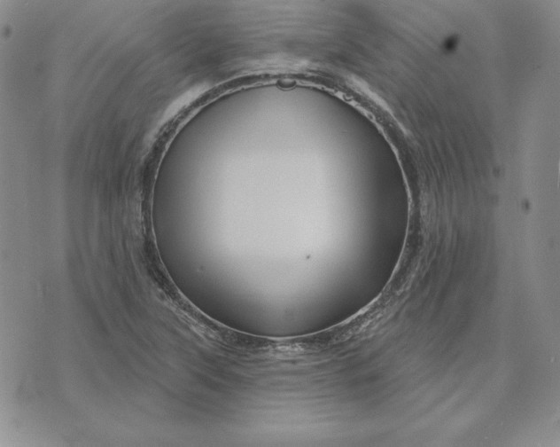 X0000074041315200609111729