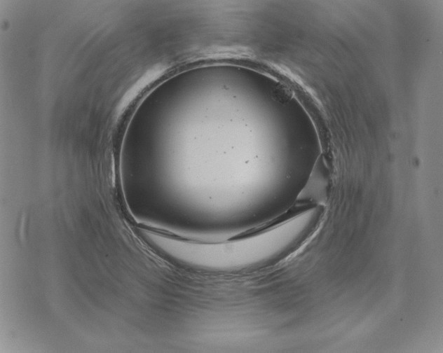 X0000074041317200609111729