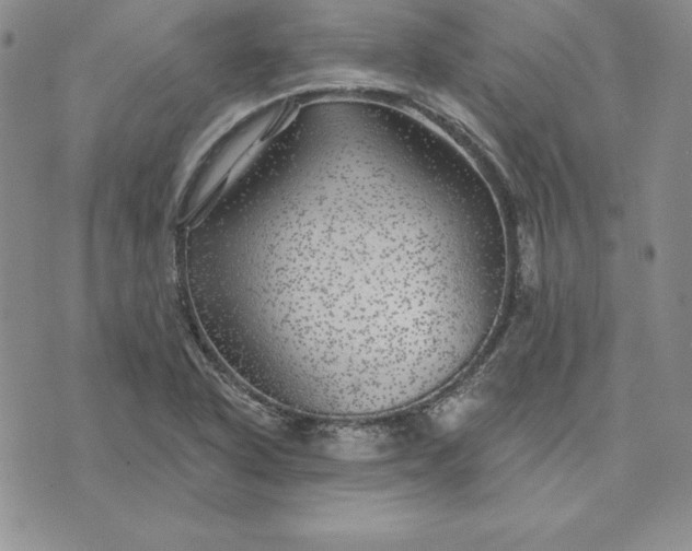 X0000074041318200609111729