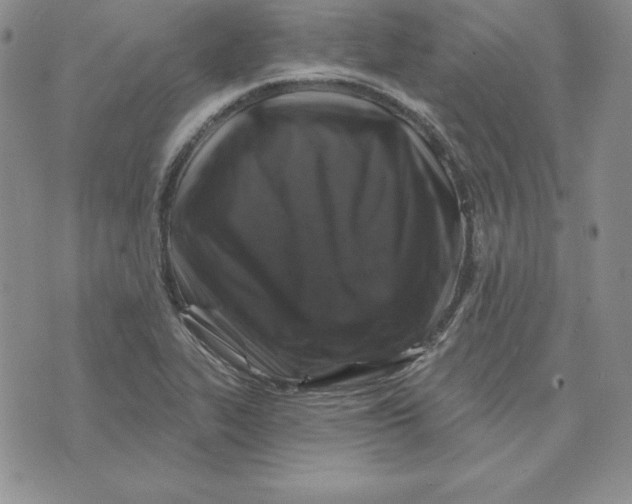 X0000074041319200609111729