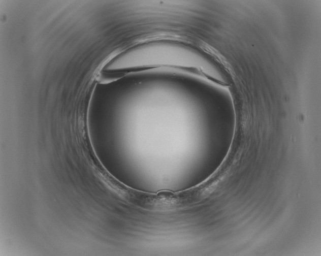 X0000074041321200609111729