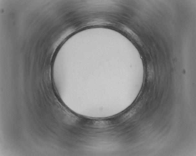 X0000074041322200609111729