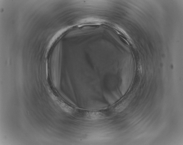 X0000074041323200609111729