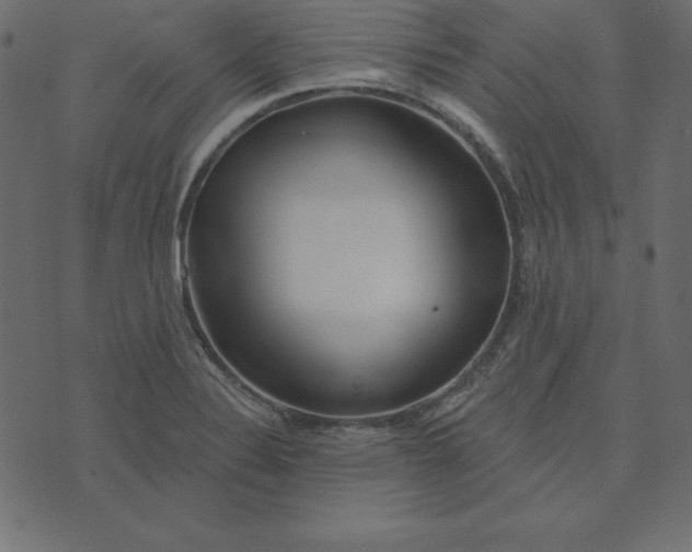 X0000074041324200609111729