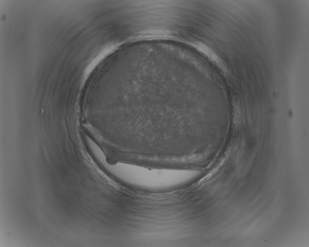 X0000074041325200609111729